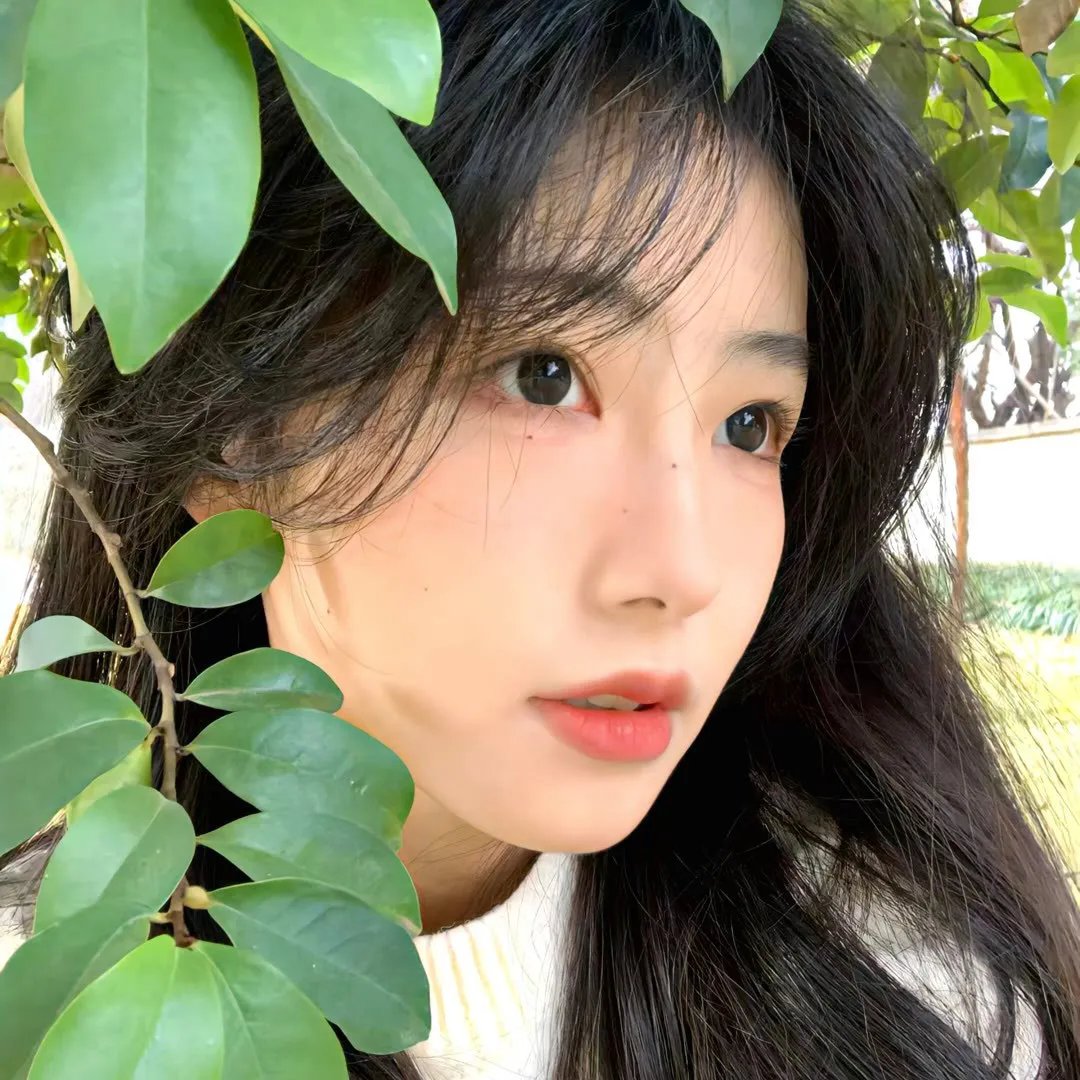 少爷仔